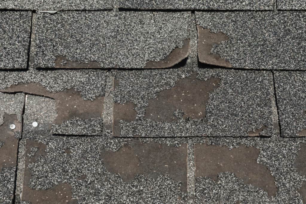 granule loss showing signs to replace roof