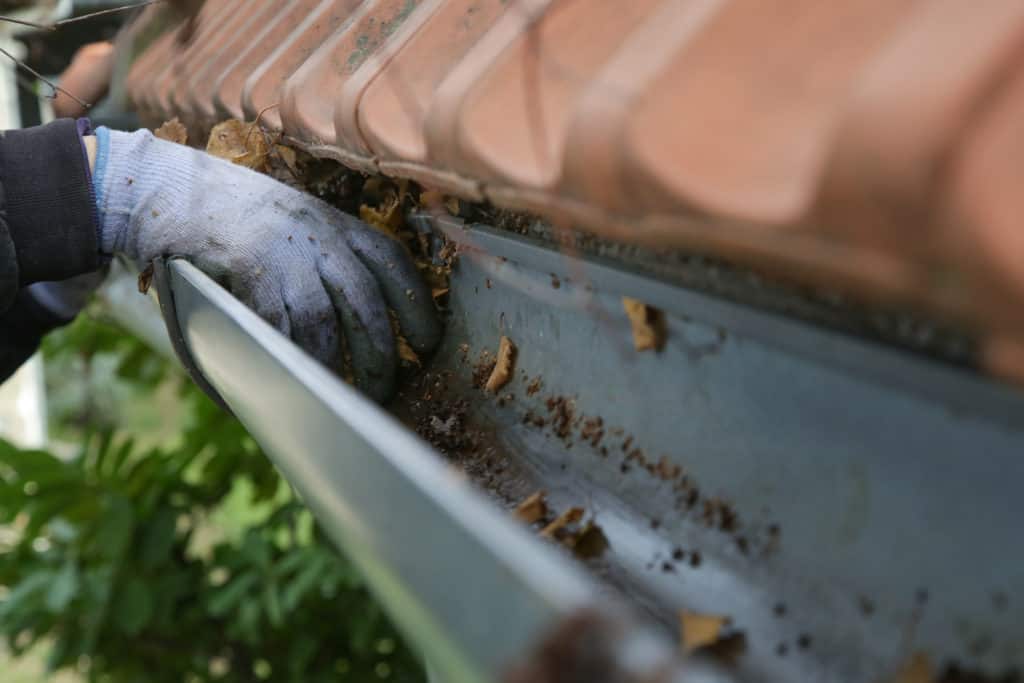 granule loss man with glove cleaning gutters