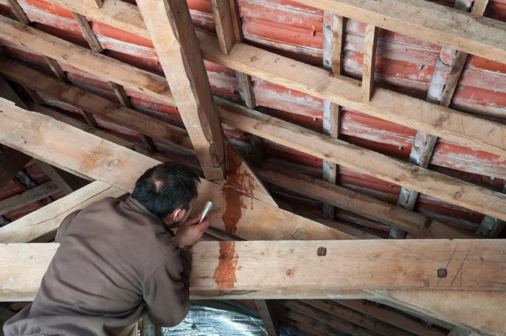 worker checking the house roof leaking