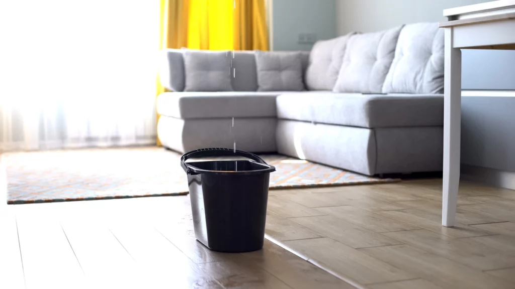 a roof leak dripping into a bucket