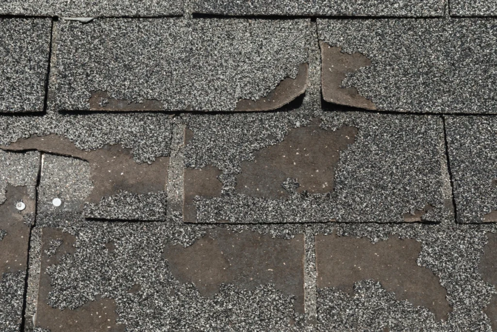 damaged shingles-tear off roof