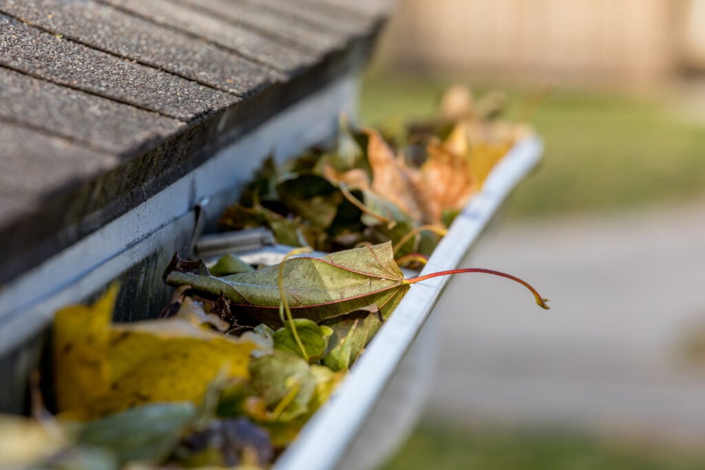 gutter close view