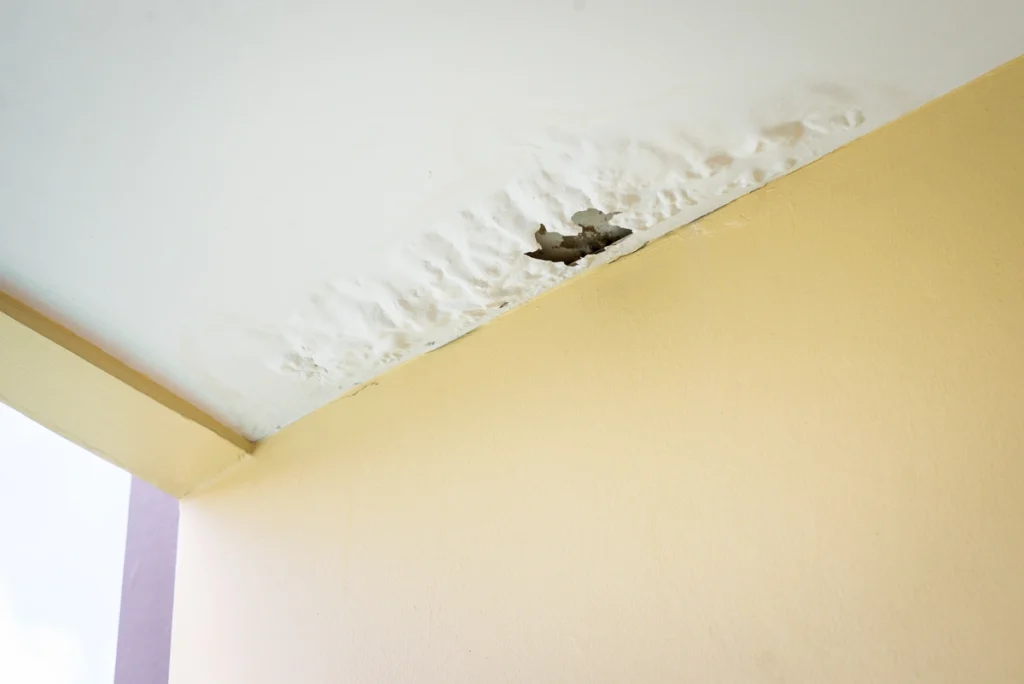 water leaking from ceiling-bubbled and cracked paint from a ceiling water leak