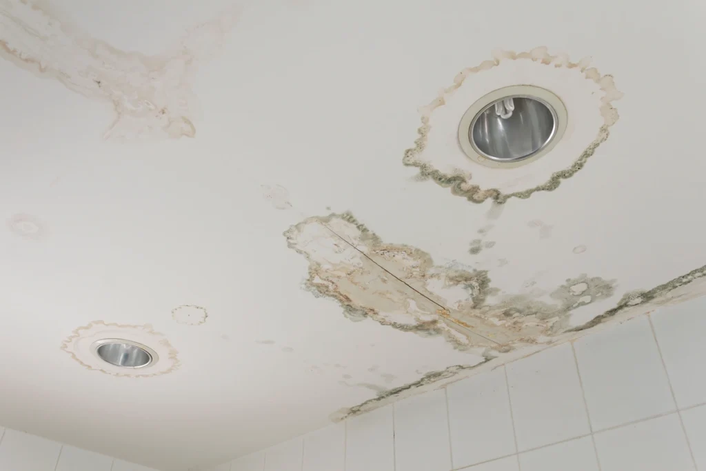 water leaking from ceiling-mold and water stains on ceiling from a water leak