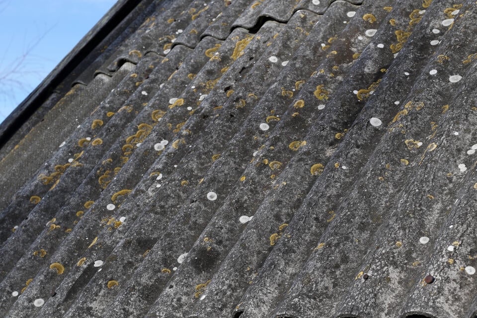 mold on roof-close up of mold and lichen growing on concrete roof shingles