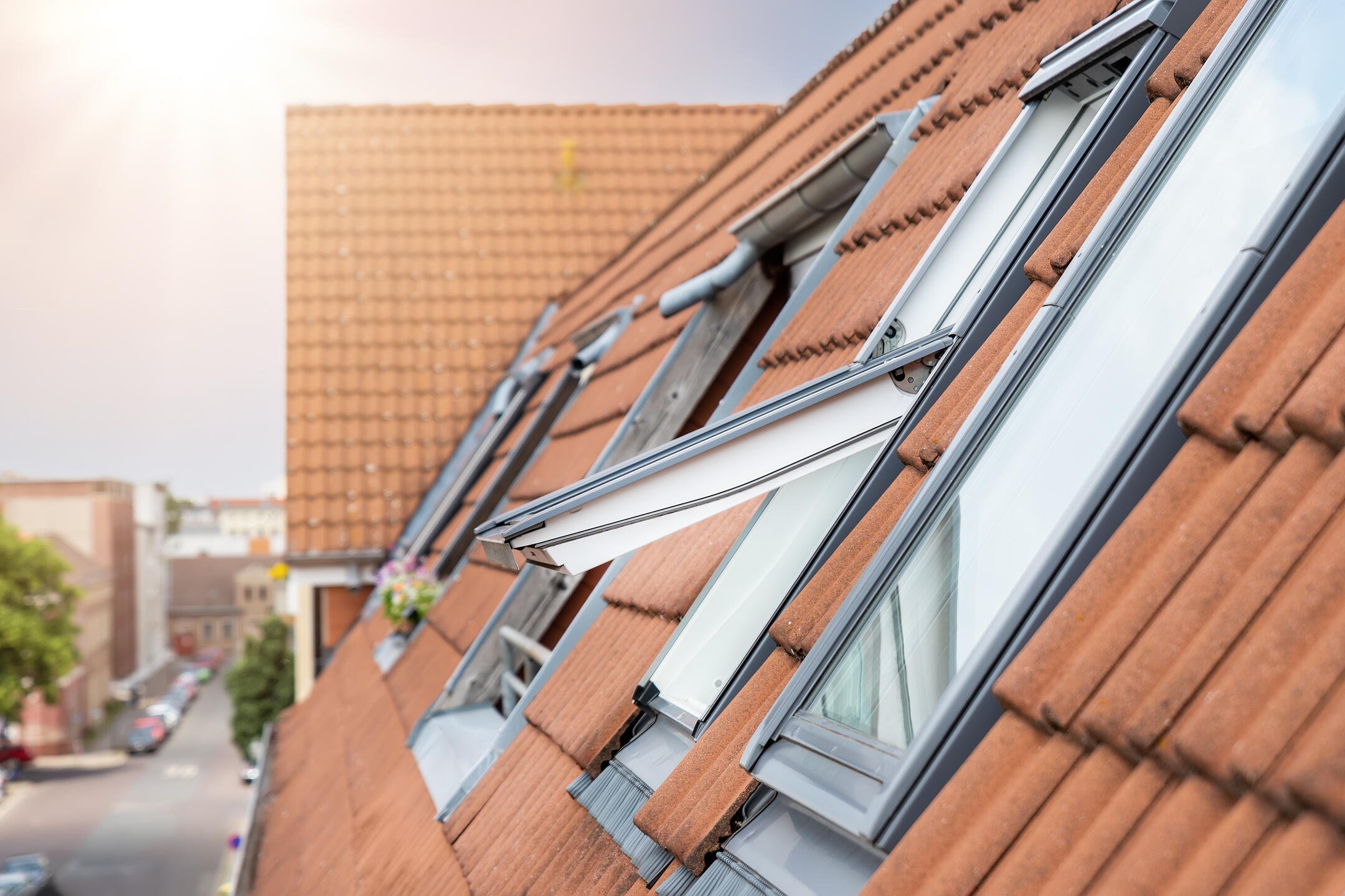 skylight repair-close up of several skylights on a home