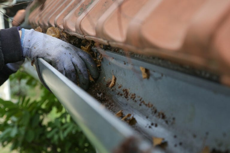gutter cleaning-close up of a gloved hand removing leaves and debris from gutters