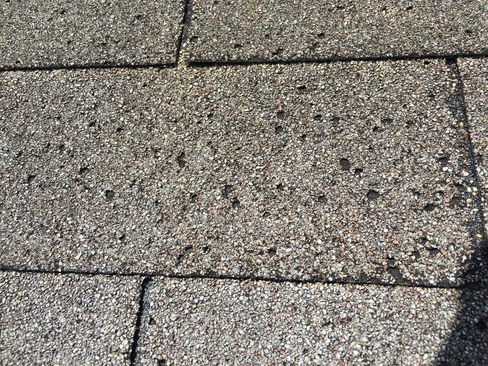 hail damage vs blistering-close up of blistering on a 3 tab shingle