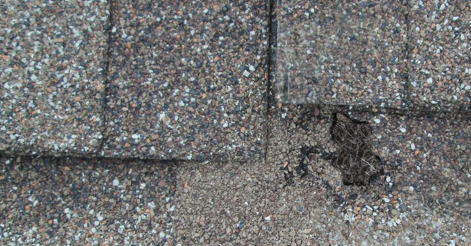 hail damage vs blistering-close up of blistering on an architectural shingle