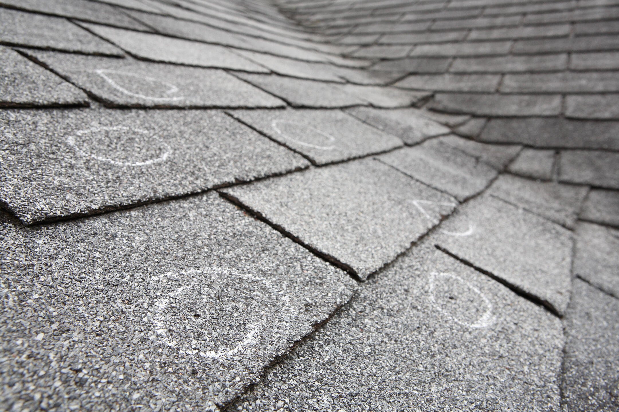 hail damage vs blistering-close up of hail damaged circled on a shingle roof