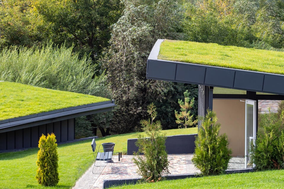 energy efficient roofing-green roof