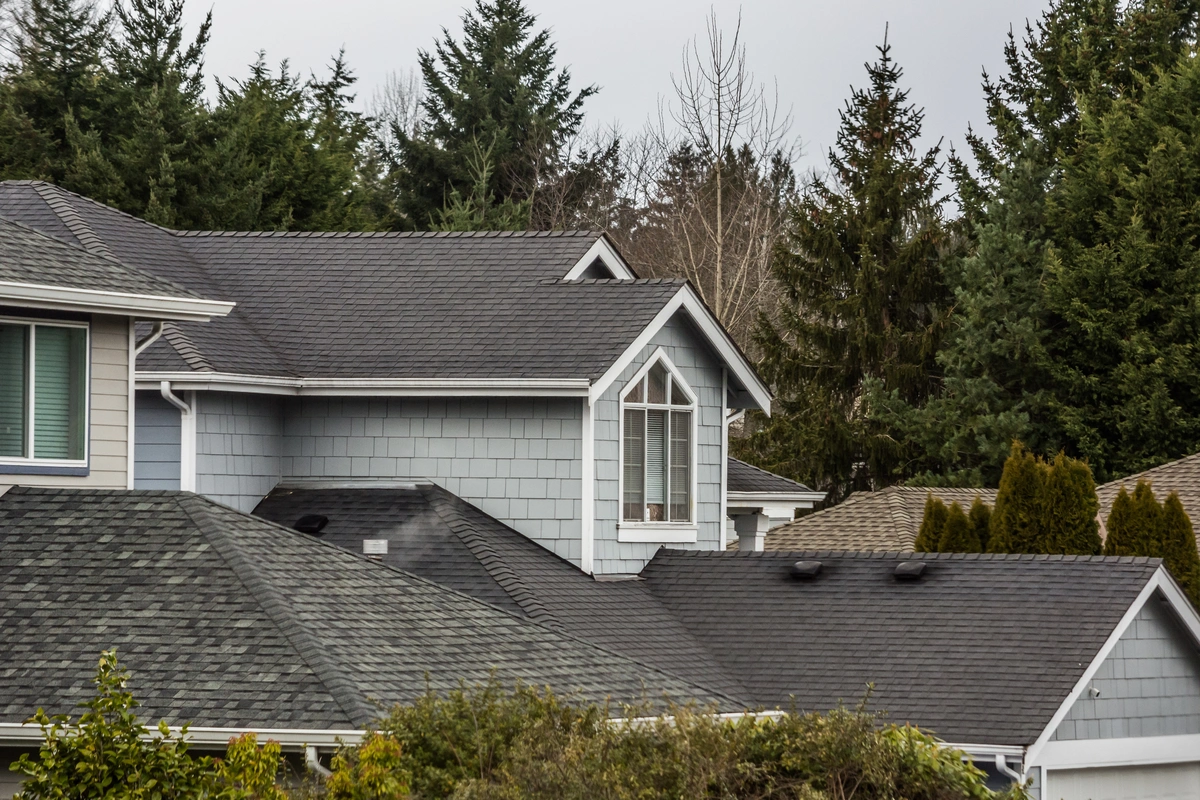 asphalt shingles on home