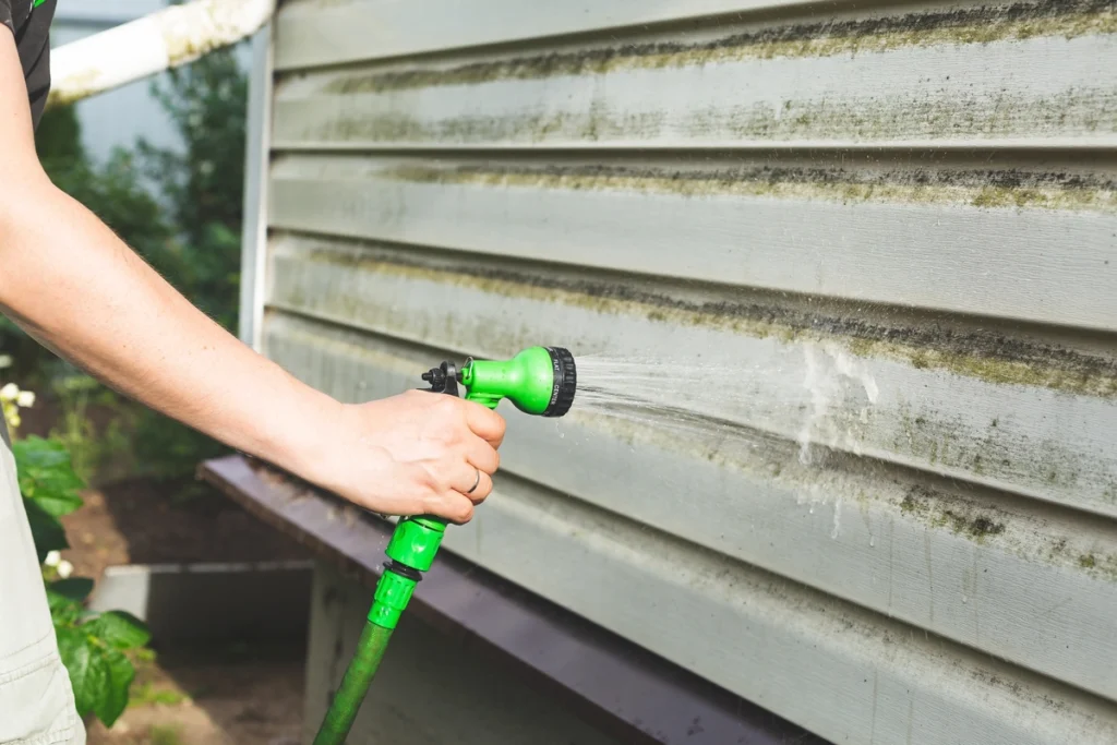 cleaning mold off siding