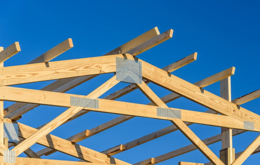 Single frame truss structure