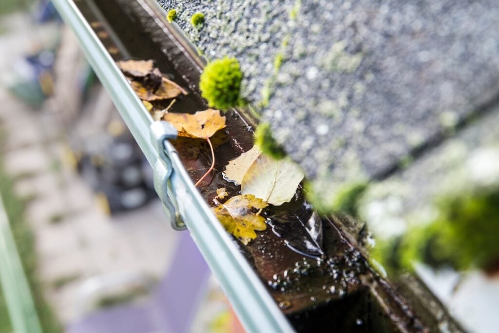 Rainwater gutter cleaning concept. Clogged rainwater drainage system on private domestic home house roof outdoors in autumn. Autumn chores concept.