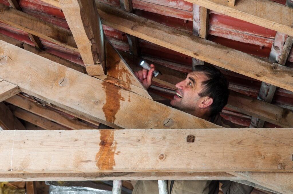 checking for attic rain