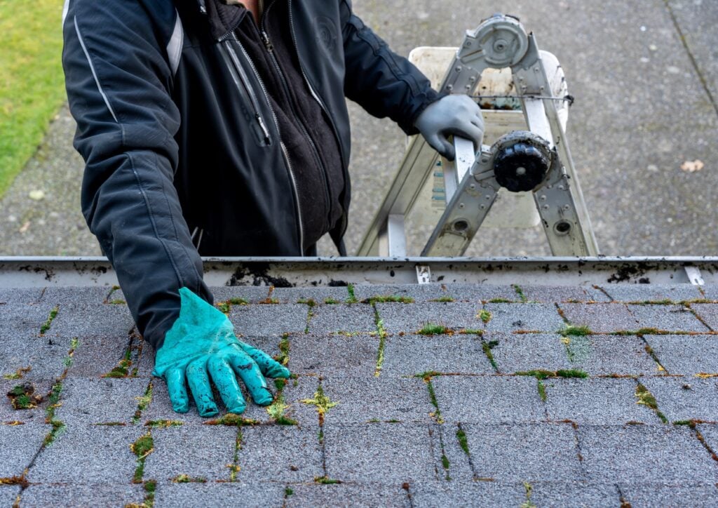 Man inspecting and cleaning dirty moss-covered roof how to clean a shingle roof