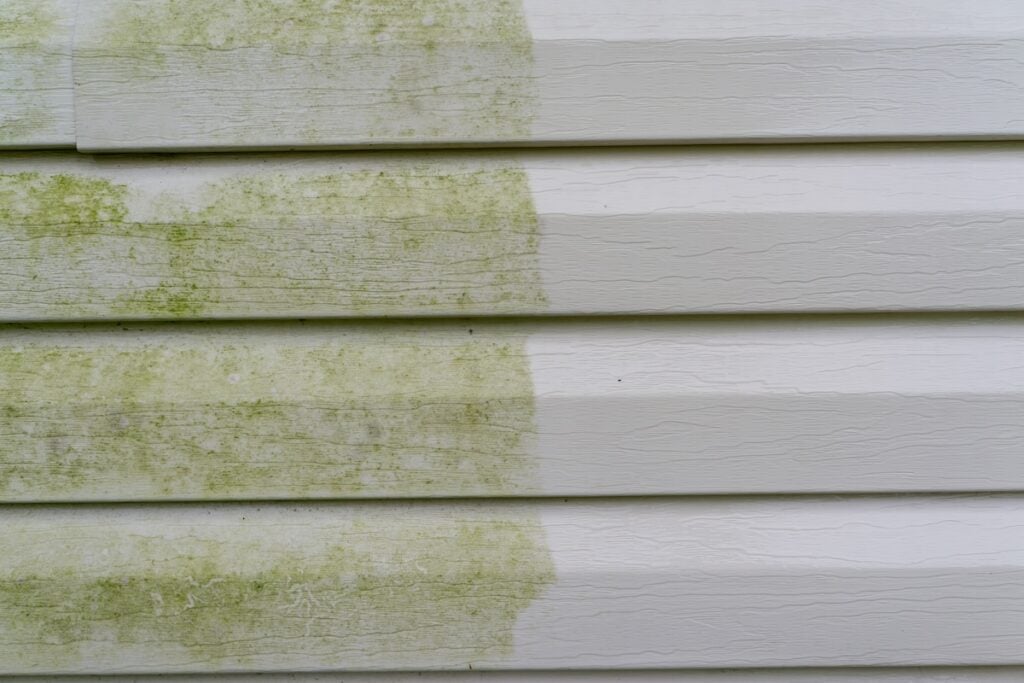 Before and after photo of vinyl siding with mold/algae.