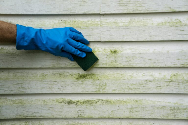 Scrubbing algae and mold off a house with vinyl siding.